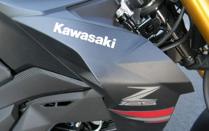 2021 Kawasaki BR125 4 Stroke