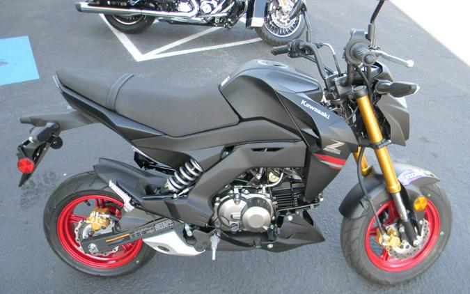 2021 Kawasaki BR125 4 Stroke
