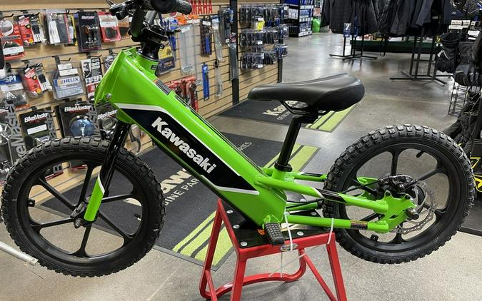 2023 Kawasaki Elektrode™