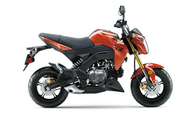 2025 Kawasaki Z125 PRO