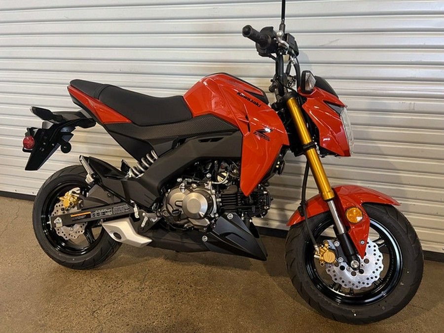2025 Kawasaki Z125 PRO