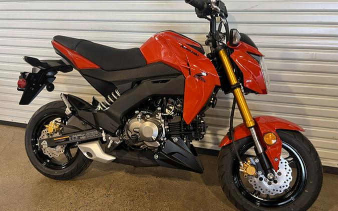 2025 Kawasaki Z125 PRO