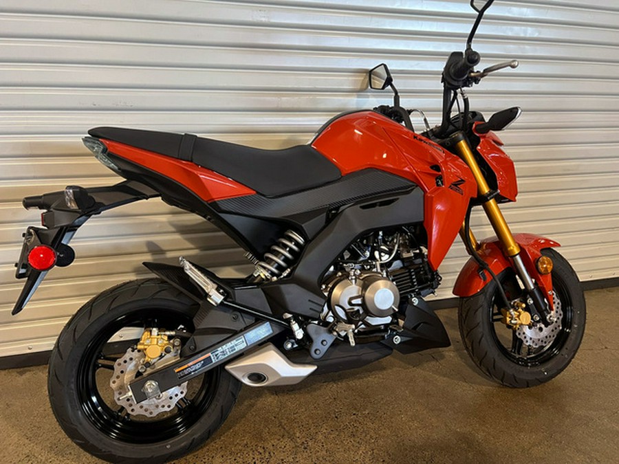 2025 Kawasaki Z125 PRO