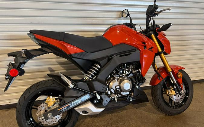 2025 Kawasaki Z125 PRO