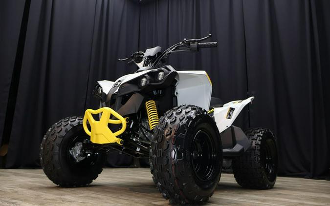 2024 Can-Am Renegade 110 EFI