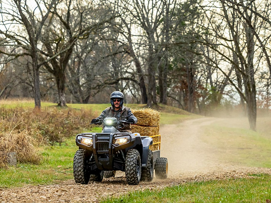 2024 Honda FourTrax Rubicon 4x4 Automatic