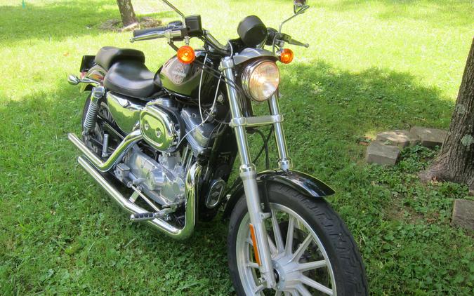 2002 Harley-Davidson® XL883
