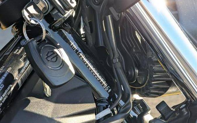 2025 Harley-Davidson Nightster®