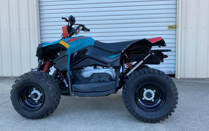 2024 Can-Am Renegade 110 EFI