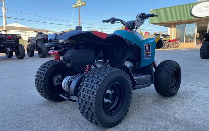 2024 Can-Am Renegade 110 EFI