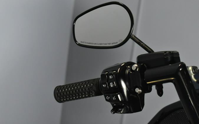 2019 Harley-Davidson Road Glide Special