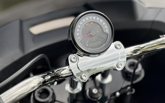 2025 Harley-Davidson Low Rider ST