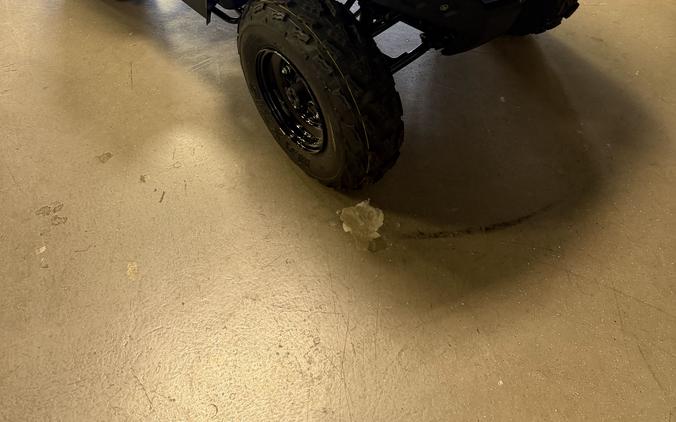 2026 KAWASAKI BRUTE FORCE 300