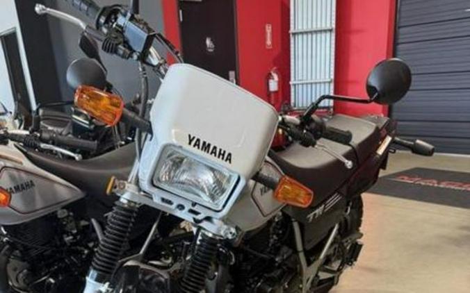 2027 Yamaha TW 200