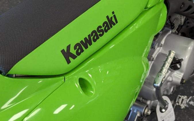 2024 Kawasaki KLX®110R