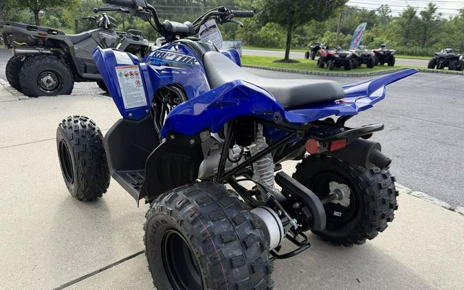 2026 Yamaha Raptor 110