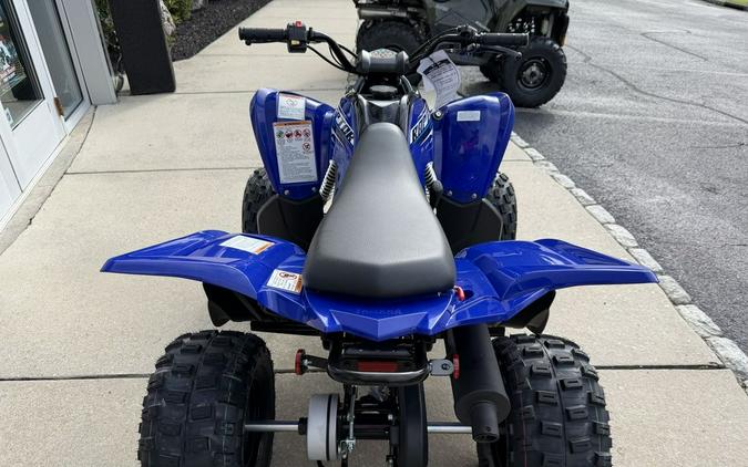 2026 Yamaha Raptor 110