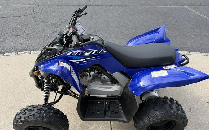 2026 Yamaha Raptor 110