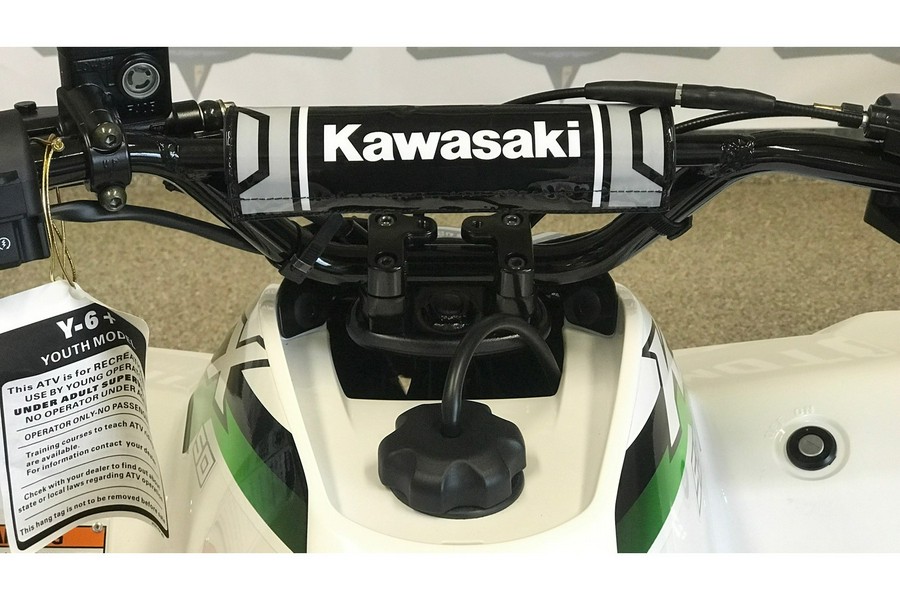 2026 Kawasaki KFX 50 (KSF50CTFNN)