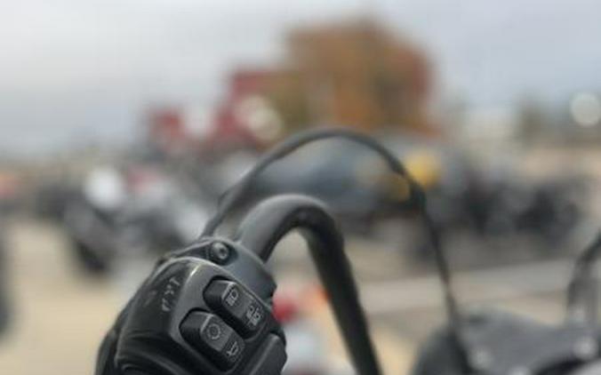 2019 Harley-Davidson® XL 883N - Sportster® Iron 883™