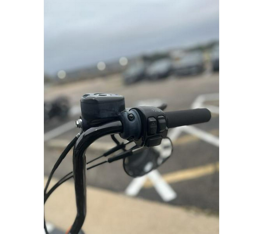 2019 Harley-Davidson® XL 883N - Sportster® Iron 883™