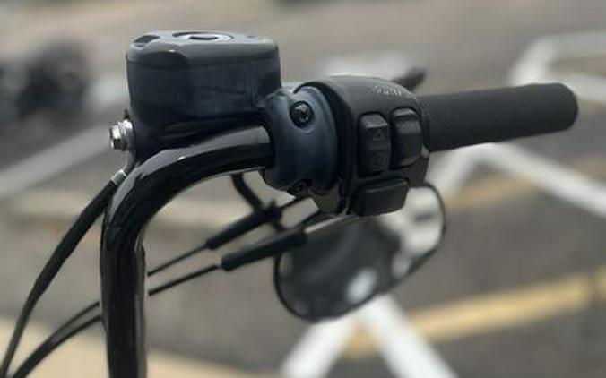 2019 Harley-Davidson® XL 883N - Sportster® Iron 883™