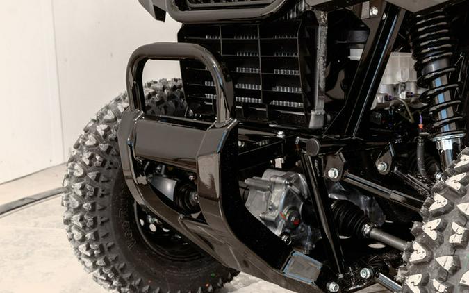 2025 Honda Pioneer 520