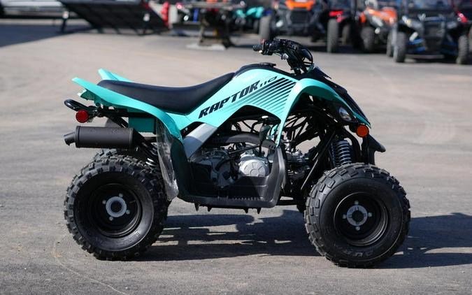 2024 Yamaha Raptor 110