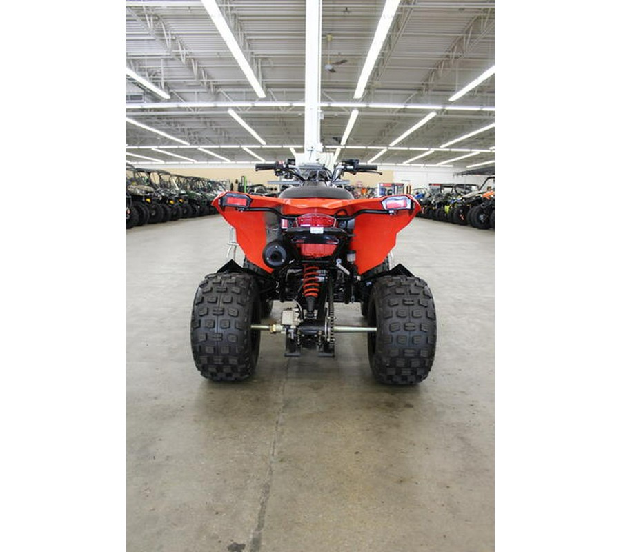 2024 Can-Am® DS 250