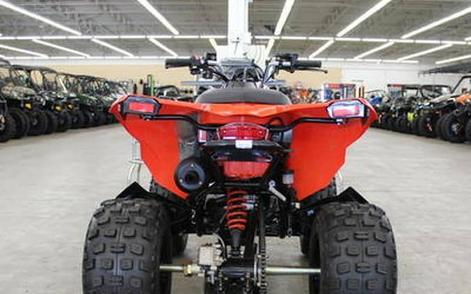 2024 Can-Am® DS 250