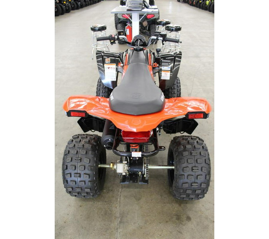 2024 Can-Am® DS 250