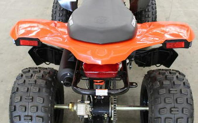 2024 Can-Am® DS 250