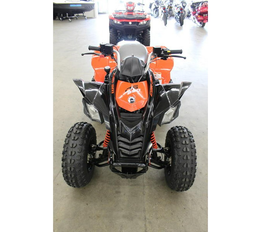 2024 Can-Am® DS 250