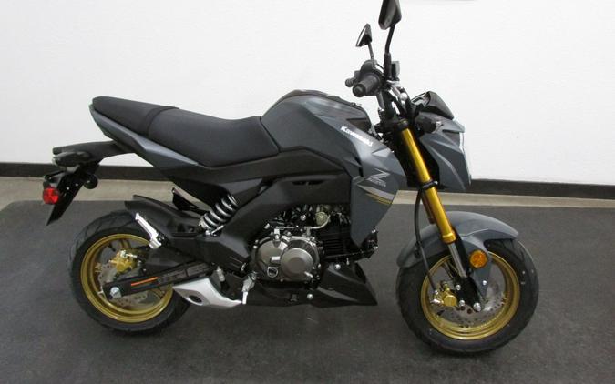 2024 Kawasaki Z125 Pro