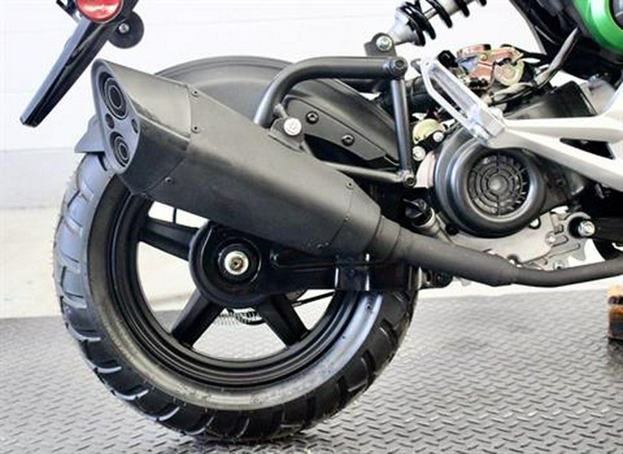 2022 YONGFU BINTELLI BEAST