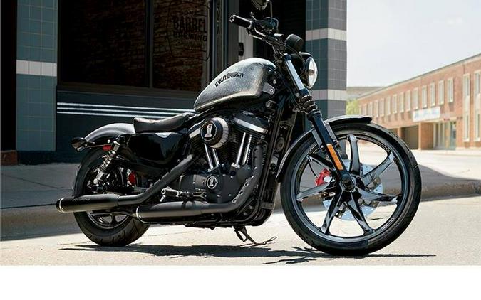 2015 Harley-Davidson Iron 883™