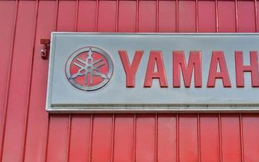 2026 Yamaha PW50
