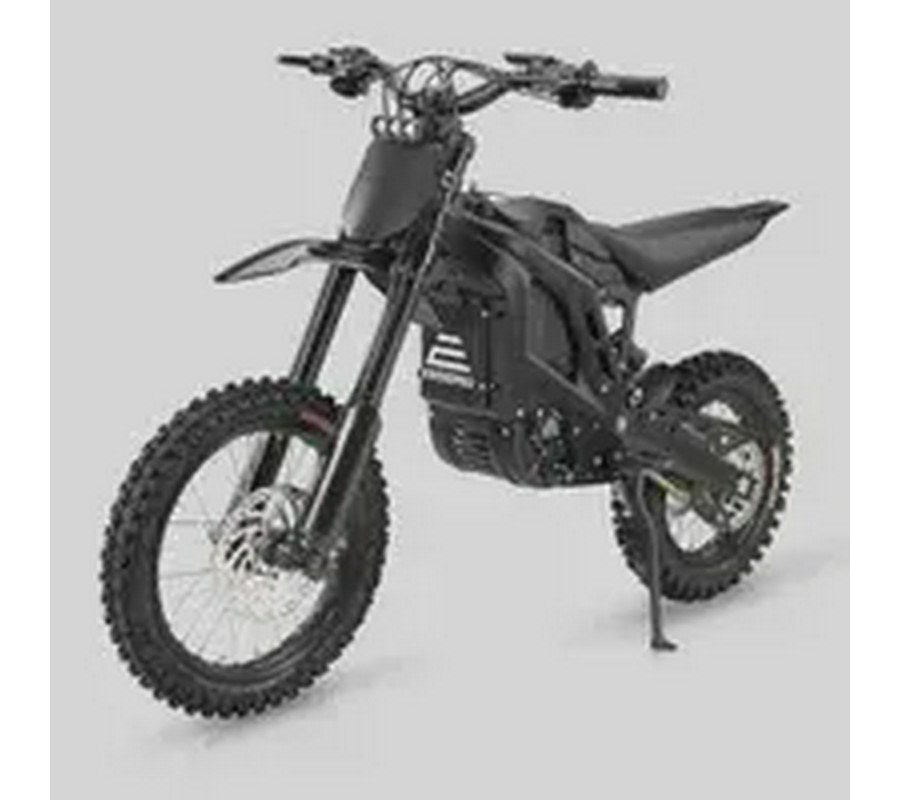 2026 E-RIDE PRO Mini R
