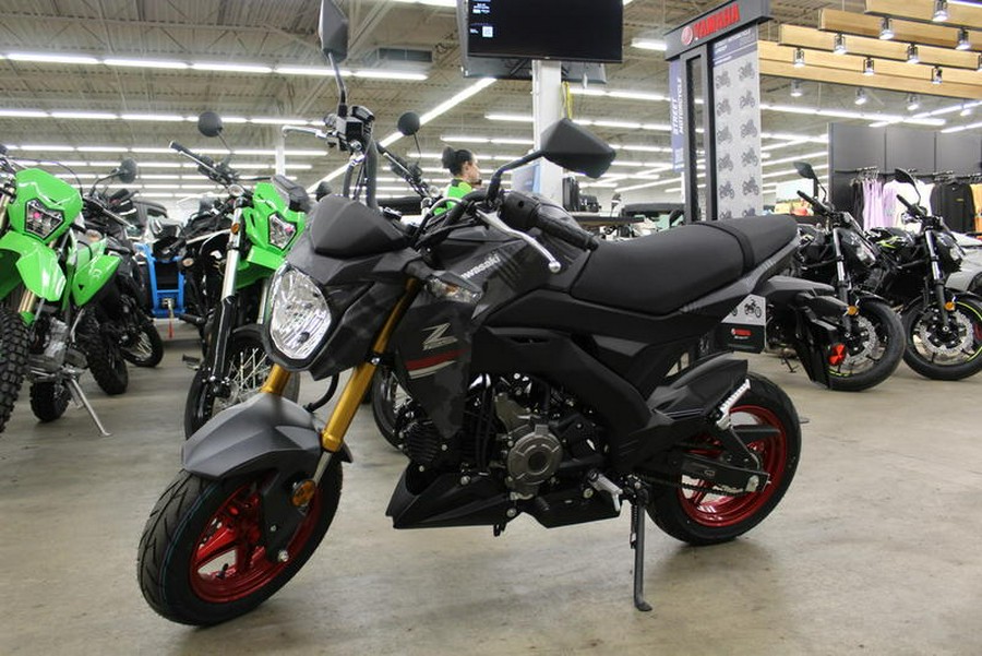 2024 Kawasaki Z125 PRO Base GRAY