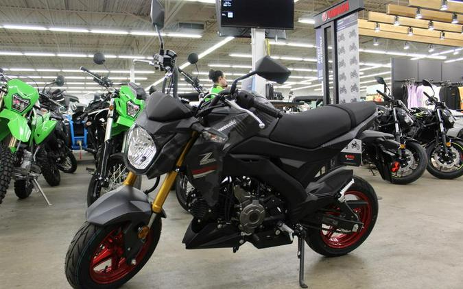 2024 Kawasaki Z125 PRO Base GRAY