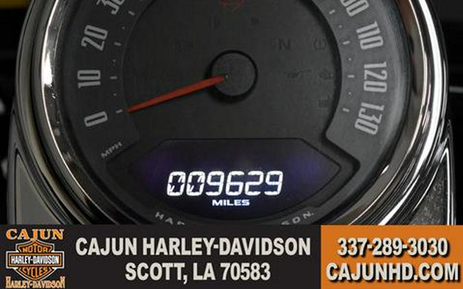 2021 Harley-Davidson Heritage Classic