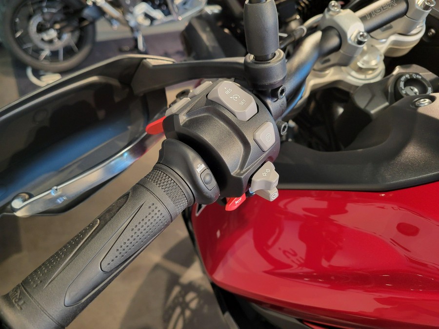 2025 Triumph TIGER 900 GT PRO