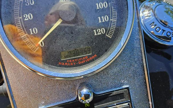 2005 Harley-Davidson FLSTSC/FLSTSCI Softail® Springer® Classic