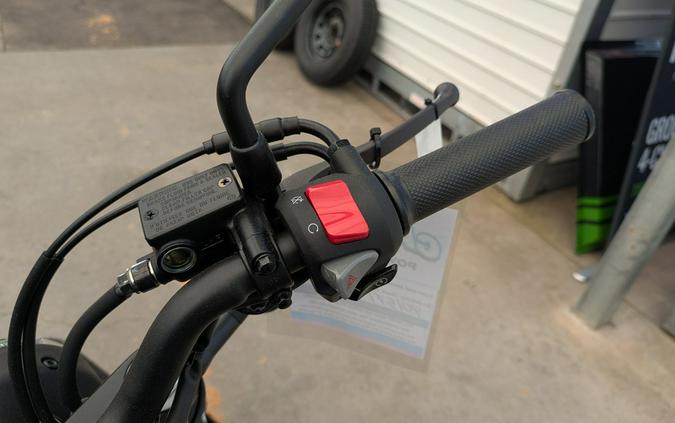 2026 Honda Rebel 500