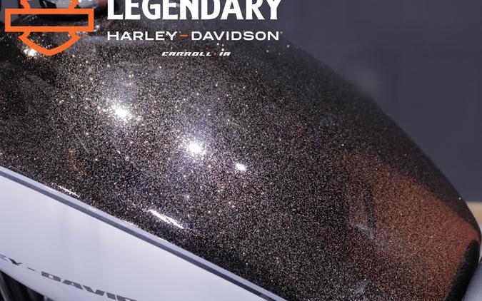 FXBB 2019 Street Bob®