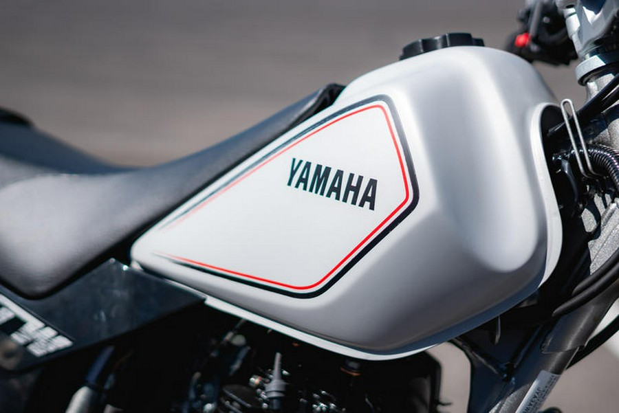 2025 Yamaha TW200