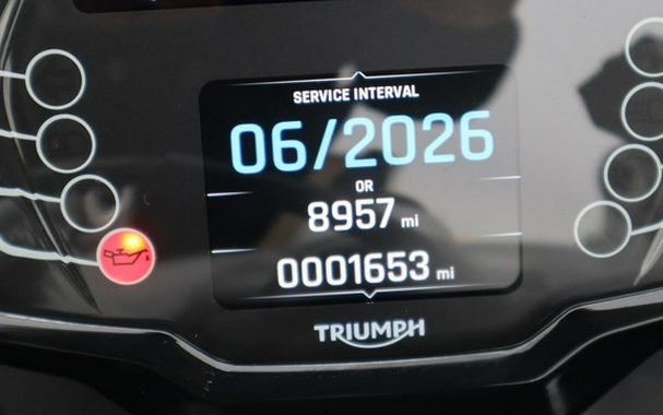 2025 Triumph Daytona 660 Snowdonia 660