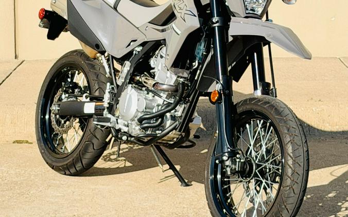 2024 Kawasaki KLX 300SM