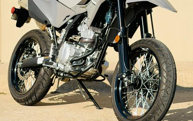 2024 Kawasaki KLX 300SM