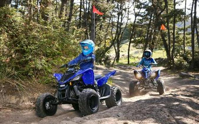 2025 Yamaha Raptor 110